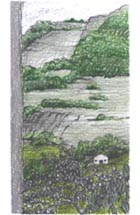 Canizaro Art