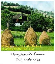Romanian Haystacks