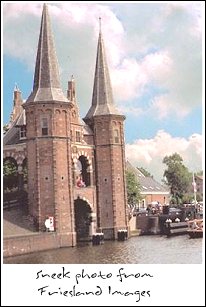 Sneek